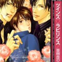  ����� Twin s Labyrinth <small>Story</small> 